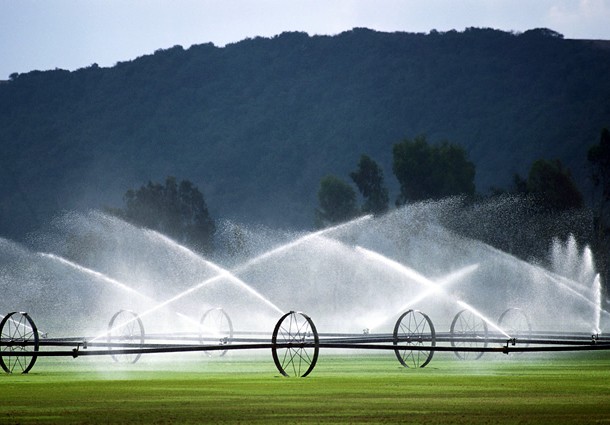 Acqua da irrigazione