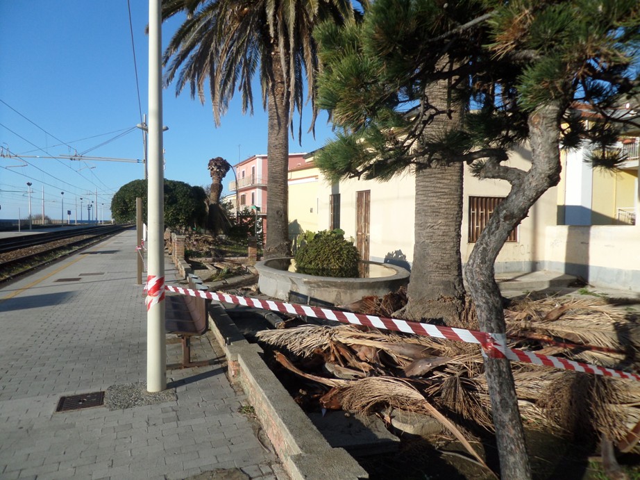 palme stazione