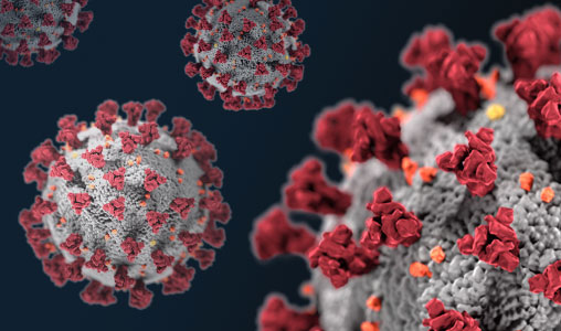 Coronavirus-SARS-CoV-2