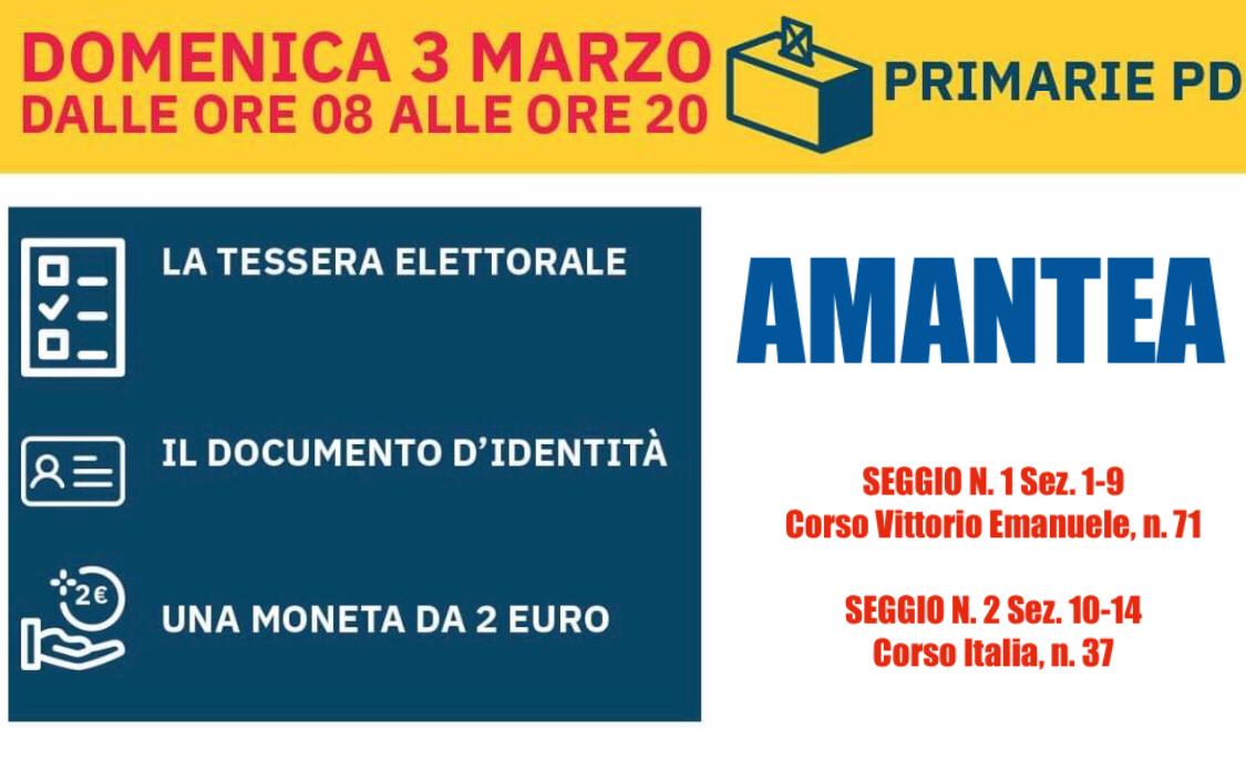 Locandina primarie PD - Amantea 3 marzo