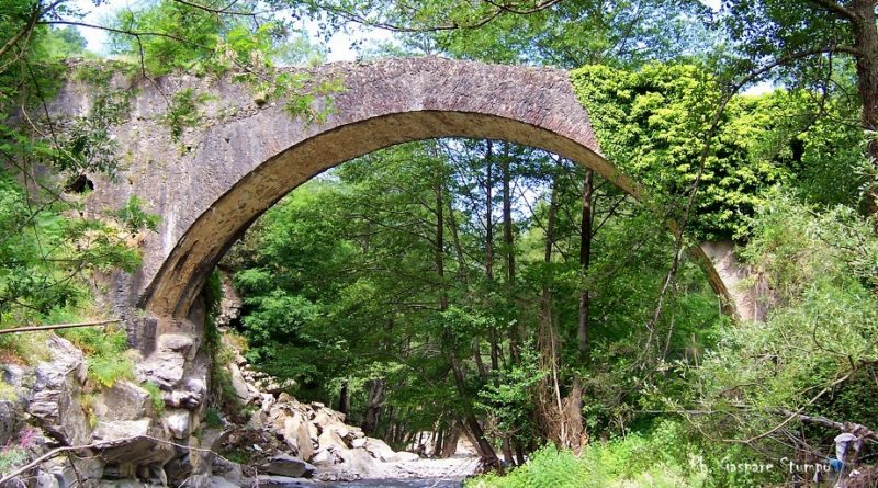 Rogliano-Ponte-di-Tavoleria-800x445