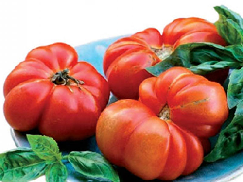 pomodori