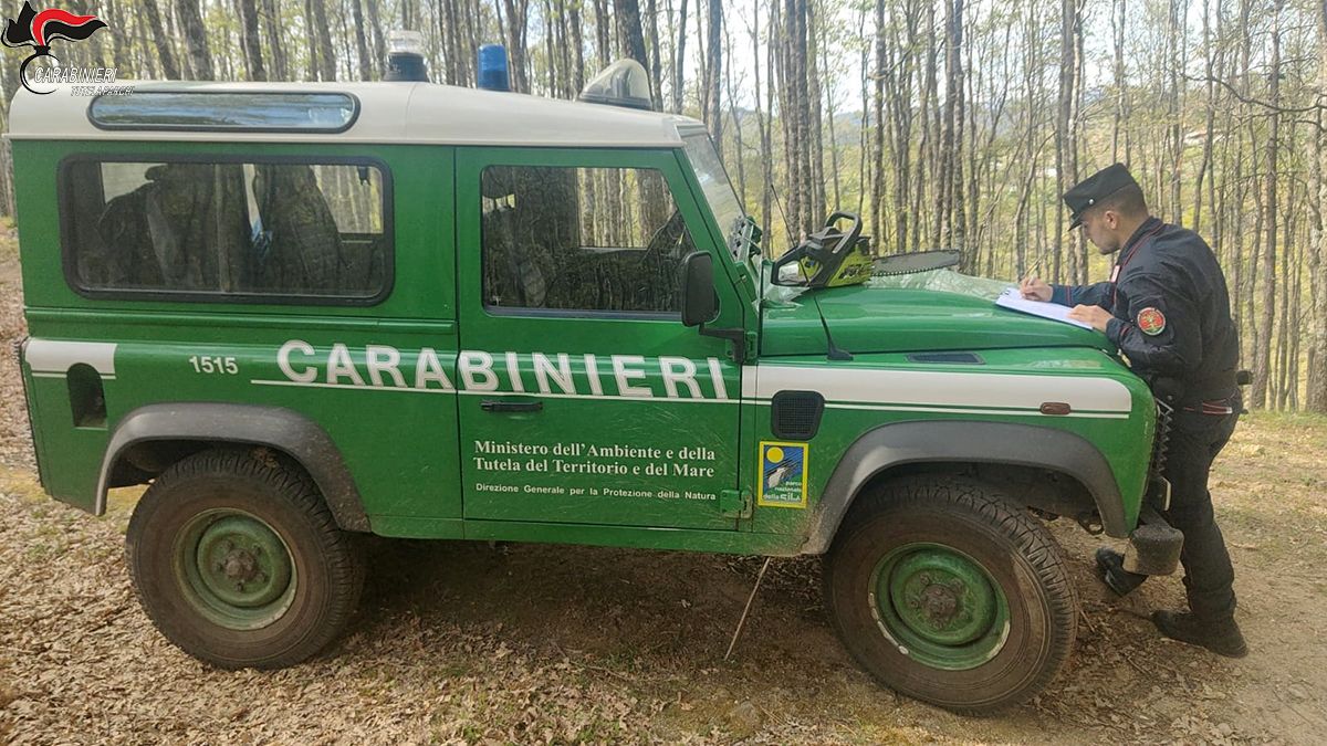 sequestro Petilia 3