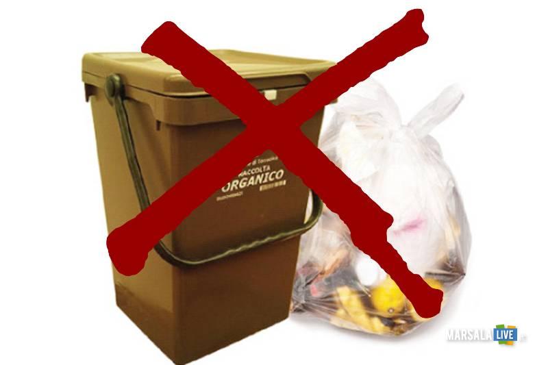 stop-alla-raccolta-dellu2019organico