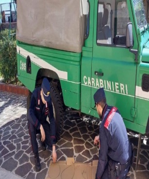 Attivita' di antibracconaggio svolta dai Carabinieri Forestali