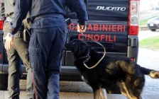 Perquisizioni per droga su Campora San Giovanni, un arresto